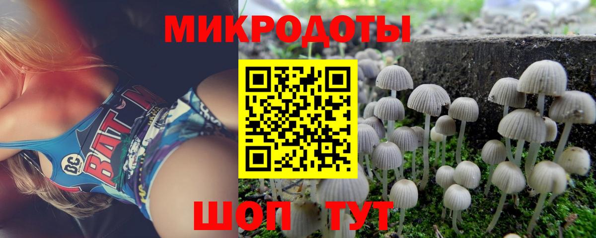 Галлюциногенные грибы Psilocybine cubensis  Вход с VPN  Тулун  Галлюциногенные грибы ЛСД 